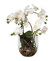 Orquídea En Macetero De Vidrio 40 Cm
