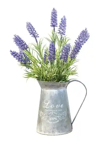 Lavanda En Hojalata