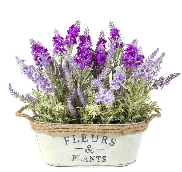 Lavanda En Balde Metalico 28 Cm