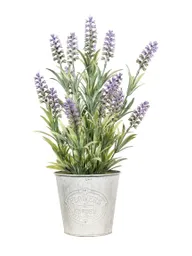 Lavanda En Balde Redondo 40 Cm