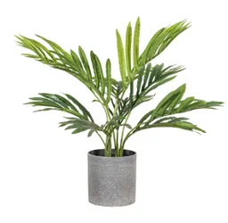 Palmerita 40 Cm 10 Hojas