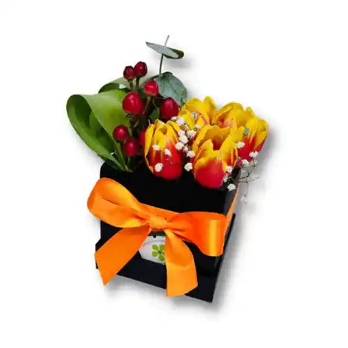 Caja De 6 Tulipanes Color Naranja