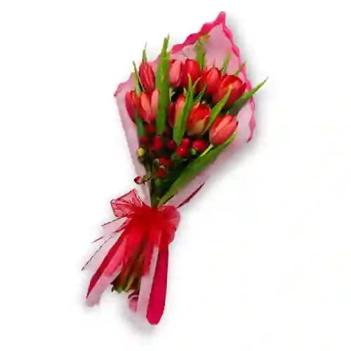 Ramo Elegante De 10 Tulipanes Rojos
