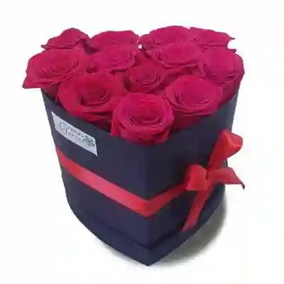 Caja De 14 Rosas Rojas