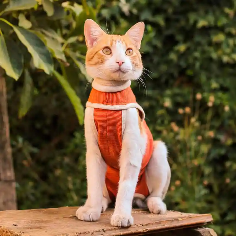 Body De Cobre Para Gatos T.4 Presentación - 6 A 7,5kg