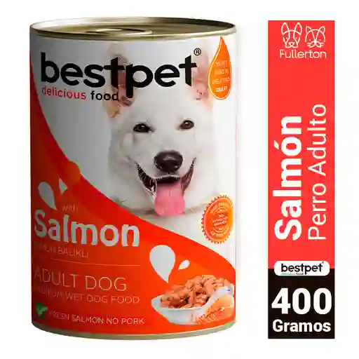 Display Lata Humedos Premium Bestpet Dog Trozos De Salmon 12 X 400 G