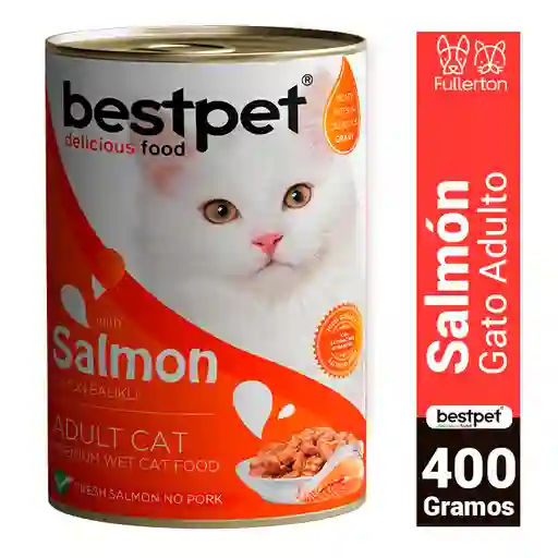 Display Lata Humedos Premium Bestpet Cat Trozos De Salmon 12 X 400 G