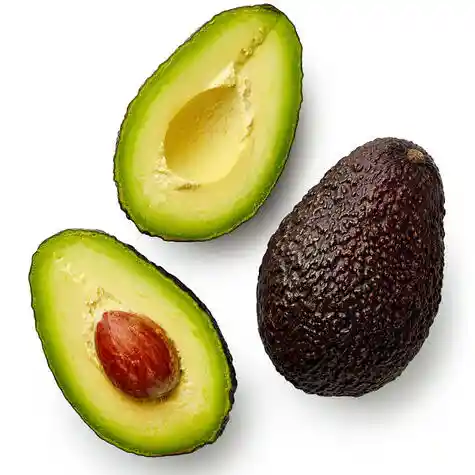 Palta Hass Chilena