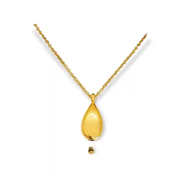 Colgante Anfora Cremacion Urna Cenizas Chapada En Oro 18k