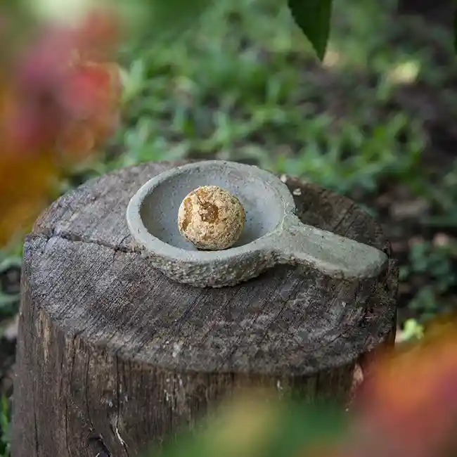 Sahumador Redondo Chico Sagrada Madre