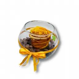 Rosa Preservada En Pecera