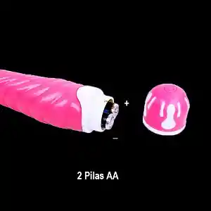 Vibrador Realistic Cock 22 X 3,8 Cms.