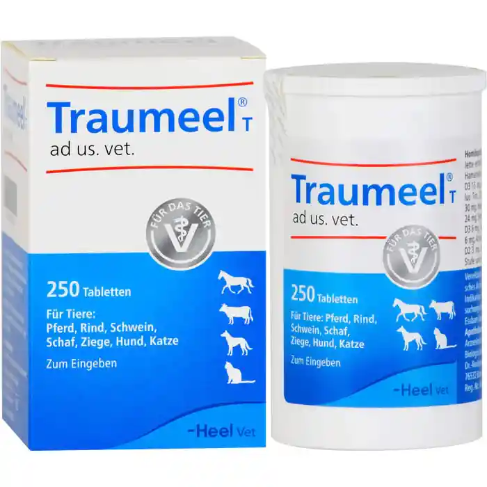 Traumeel 250 Comprimidos