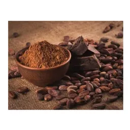 Cacao En Polvo Amargo Al 100% Puro 200 Gr Vitalyfoods