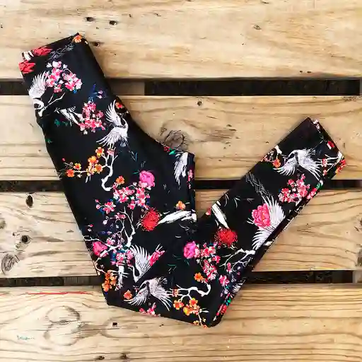Calza Sakura Black M
