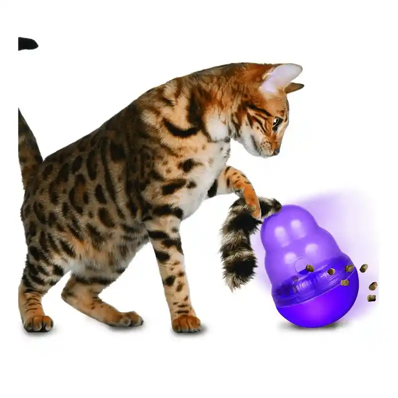 Kong Wobbler Cat S