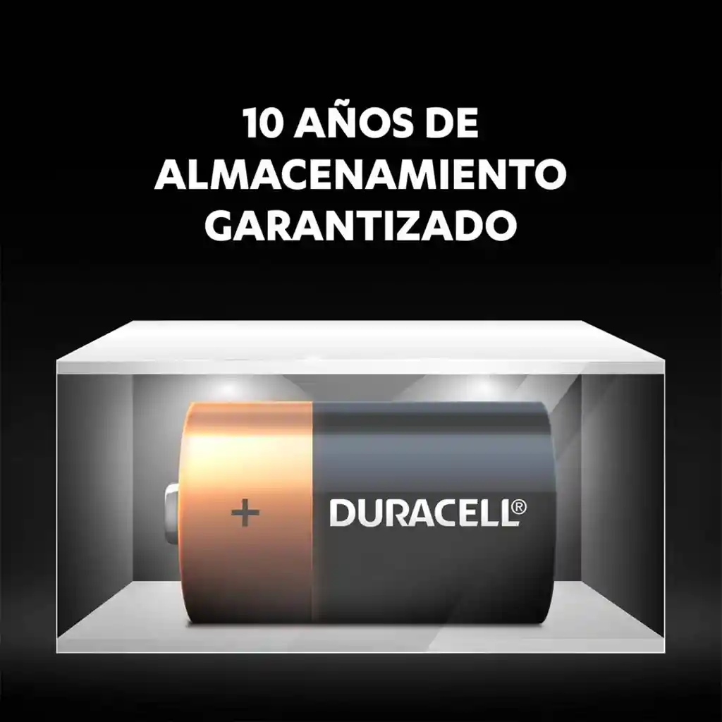 Pack 2 Pilas Duracell D Alcalina