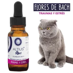 Flores De Bach Para Gatos - Traumas Y Estrés