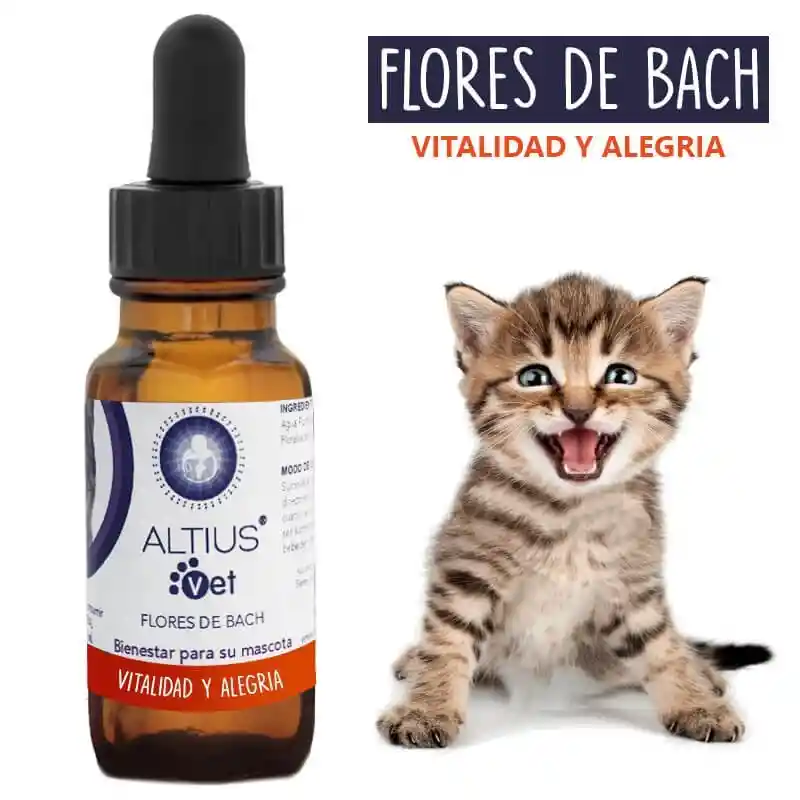 Flores De Bach Para Gatos - Vitalidad Y Alegría