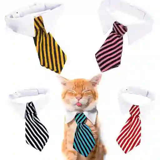 Corbata Para Gatos Blanco Con Negro - S