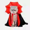Disfraz De Drácula Para Gatos