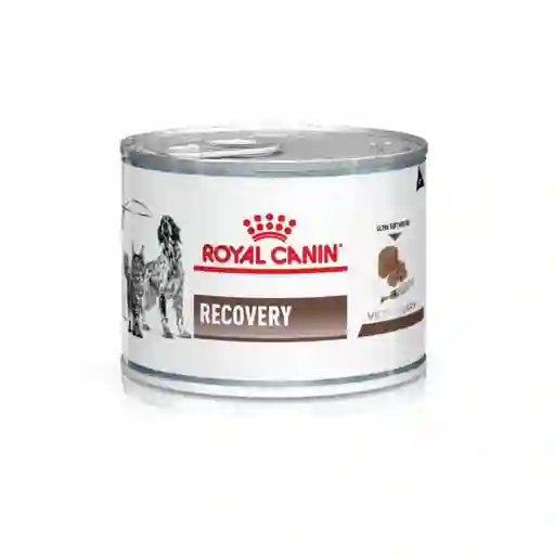 Royal Canin Lata Recovery Felino / Canino 145g