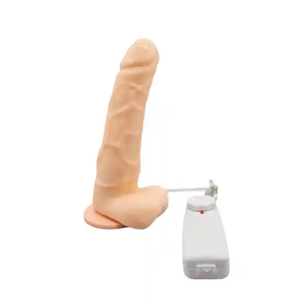 Vibrador Básico