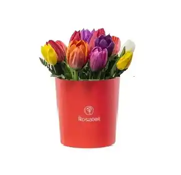 Sombrerera Roja Mediana Con 12 Tulipanes Variados