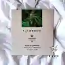 Kit Skincare Línea Cannabis Anti-acné Flamenco®