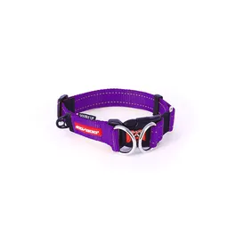 Collar Doble M Morado - Ezydog