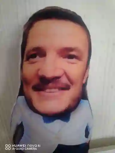 Cojin Pedro Pascal