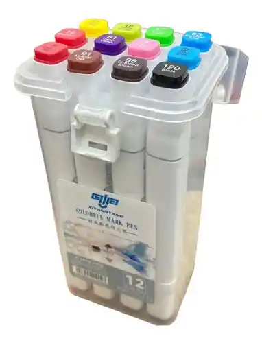 Set 12 Marcadores De Alcohol Punta Permanentes Plumon Doble