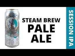 6 Cervezas Steam Brew Session Ipa 4,9° En Lata 500cc