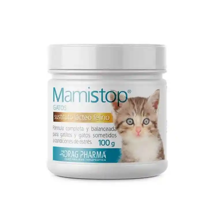 Mamistop Gatos