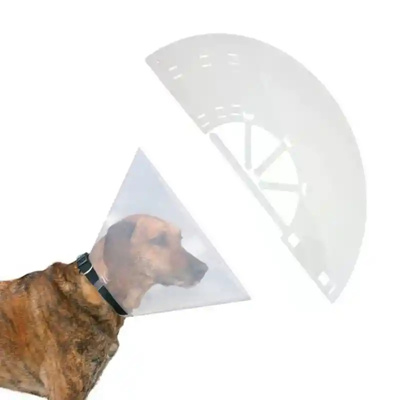 Collar Isabelino Para Perros Cono Ajustable 40 Cm