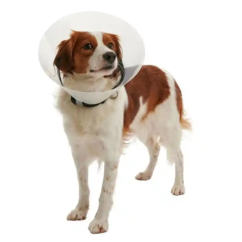 Collar Isabelino Para Perros Cono Ajustable 40 Cm