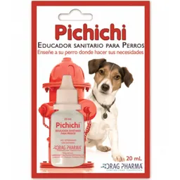 Pichichi