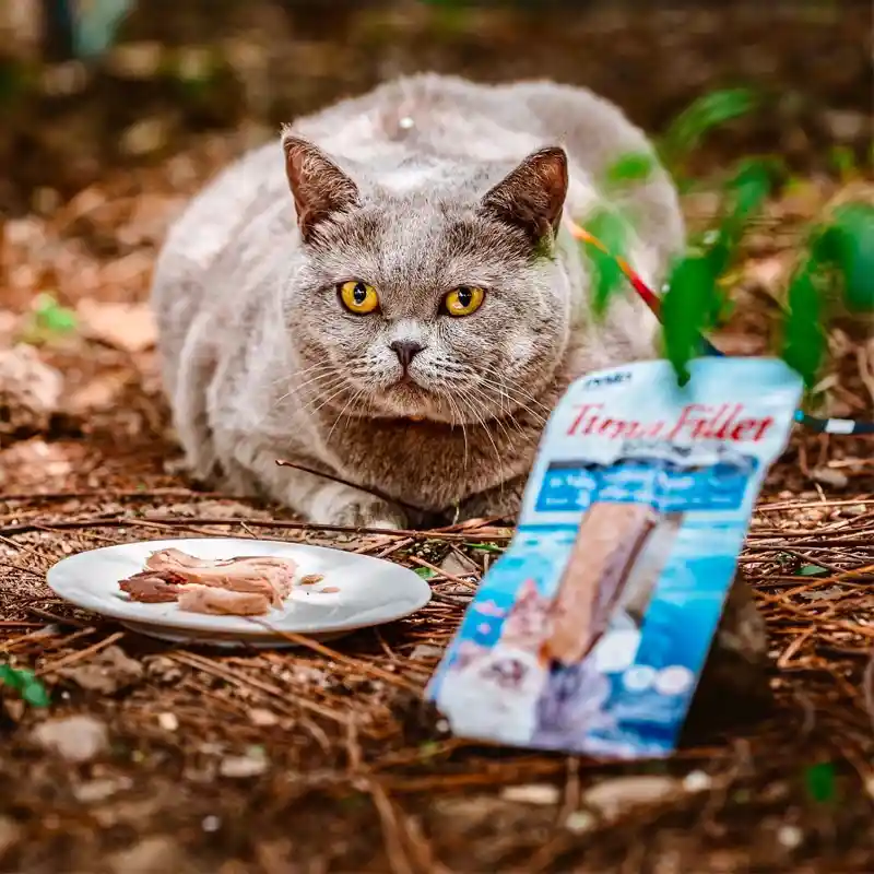 Snack Para Gato Inaba Filete Grillado De Atún 15 Gr