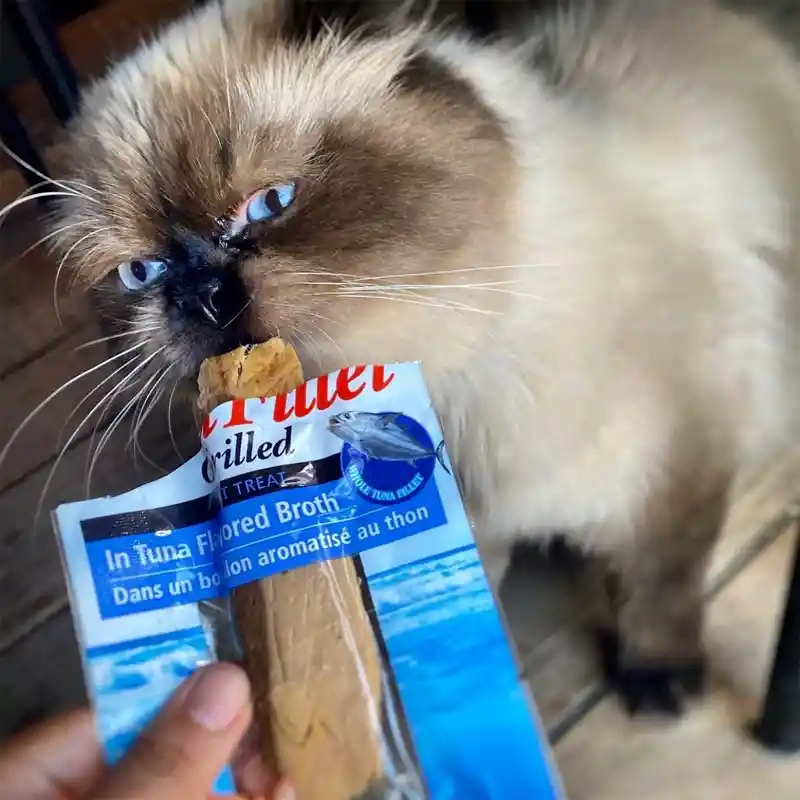 Snack Para Gato Inaba Filete Grillado De Atún 15 Gr