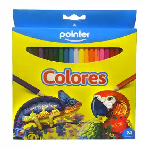 Lápices De 24 Colores