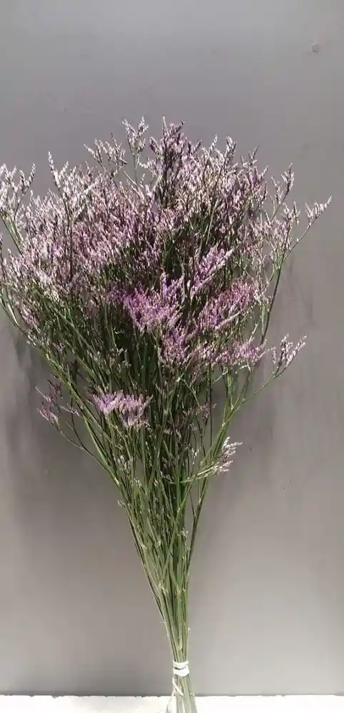 Ramo De Limonium