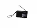 Volver Radio Portatil Recargable Mod. Lfjts-31 Fm Digital Usb Micro