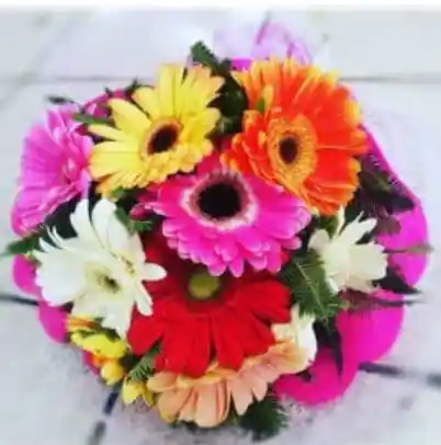 10 Gerberas Surtidas