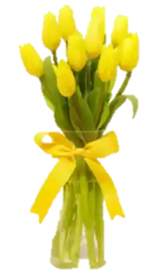 Florero De Tulipanes