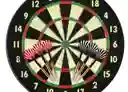 Juego Dardo Champion Brist 18¨