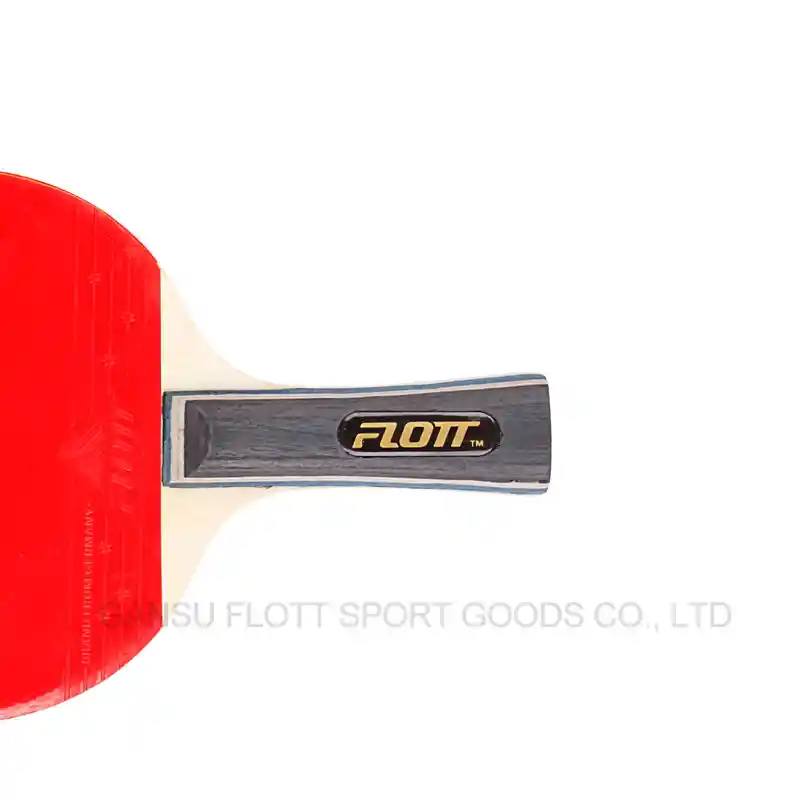 Paletas P.pong Flott X2 3p Set