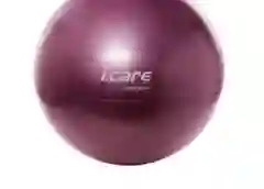 Pelota Yoga-ball 65cm Jic019