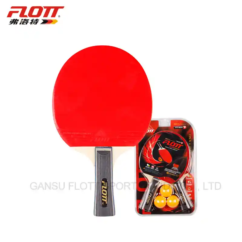 Paletas P.pong Flott X2 3p Set