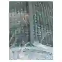 Colchoneta Yoga-mat 173x61x0,8