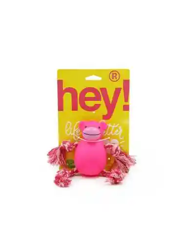 Hey - Juguete Perros Mono Con Cuerdas